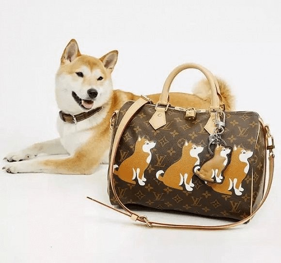 20180119081712_95589