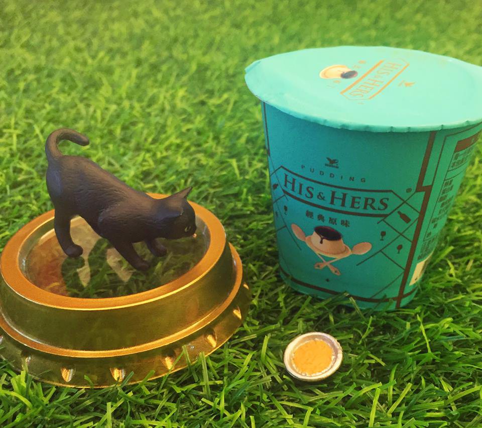 21430563_618980435156514_5631274075123805393_n