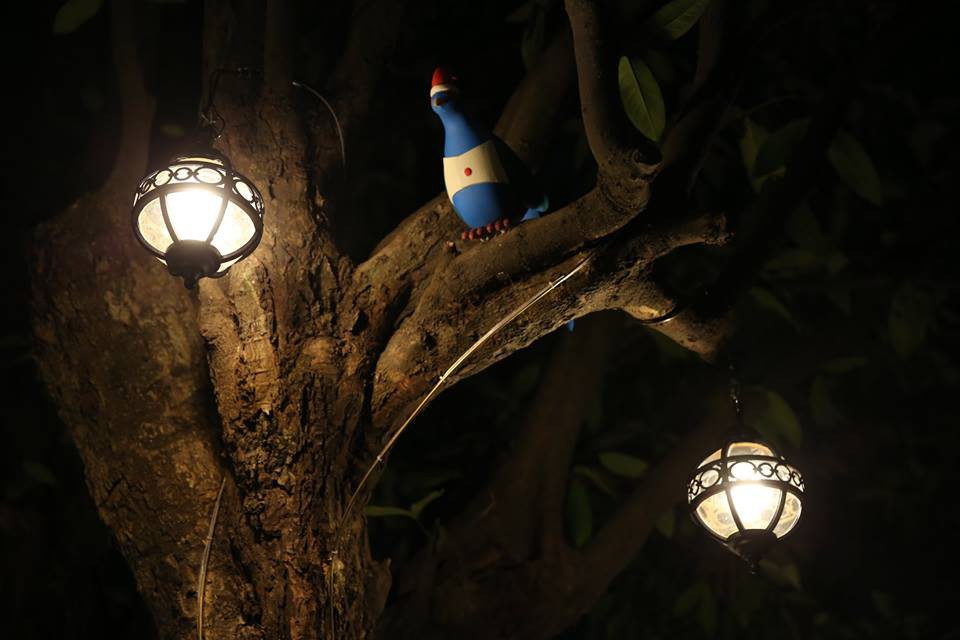 26000882_1741133019294631_1723617490811198978_n