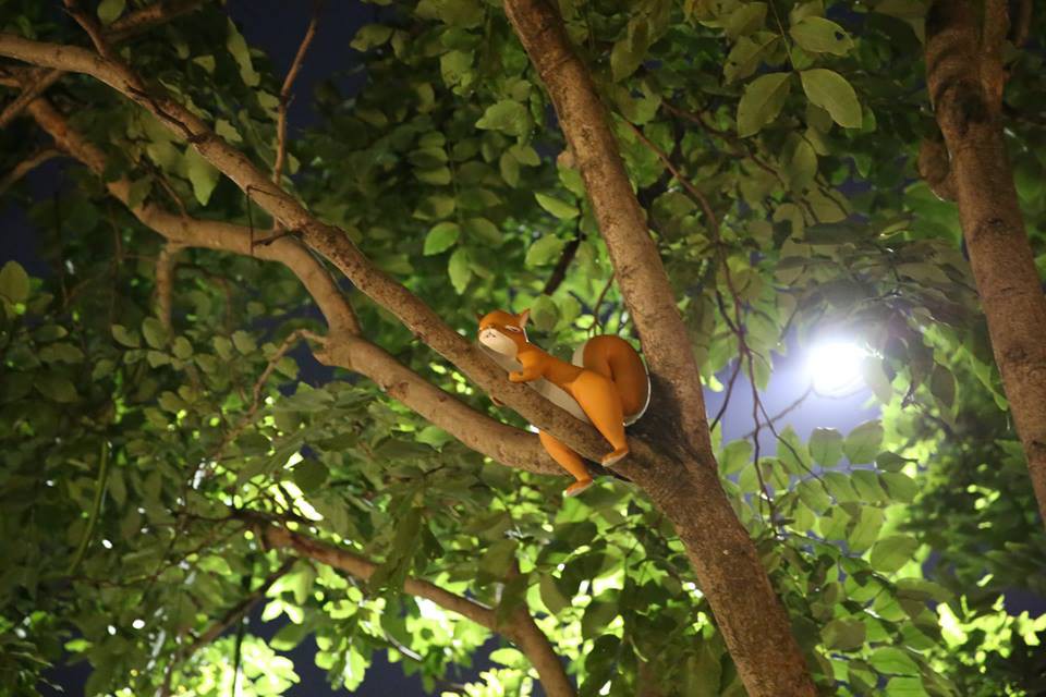 26114032_1741133029294630_8448089741500541996_n