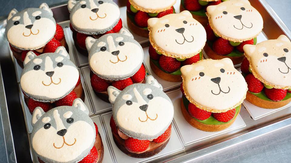 26731003_1536766383039589_3673202970424731394_n