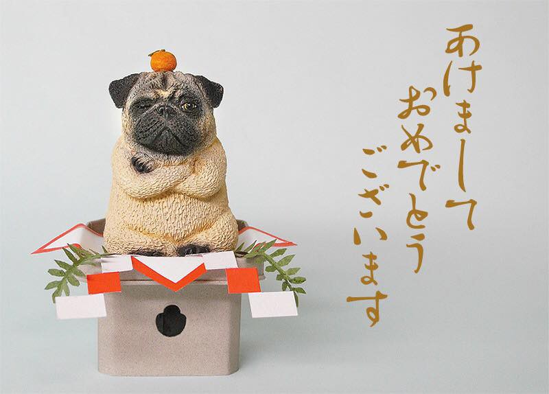 27336513_1715389735209641_8190933072987470297_n