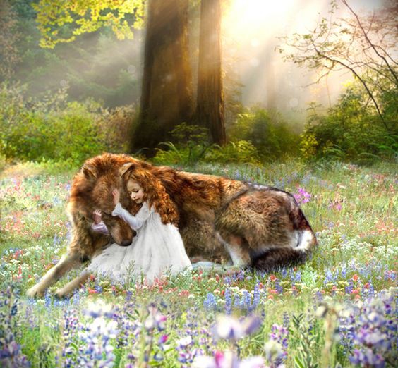 498a0cc622ed5235dadfdcb8411544ea