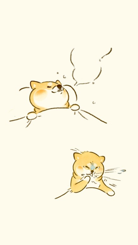 77ec2b70ly1fna6xa0gzrj21221voaef