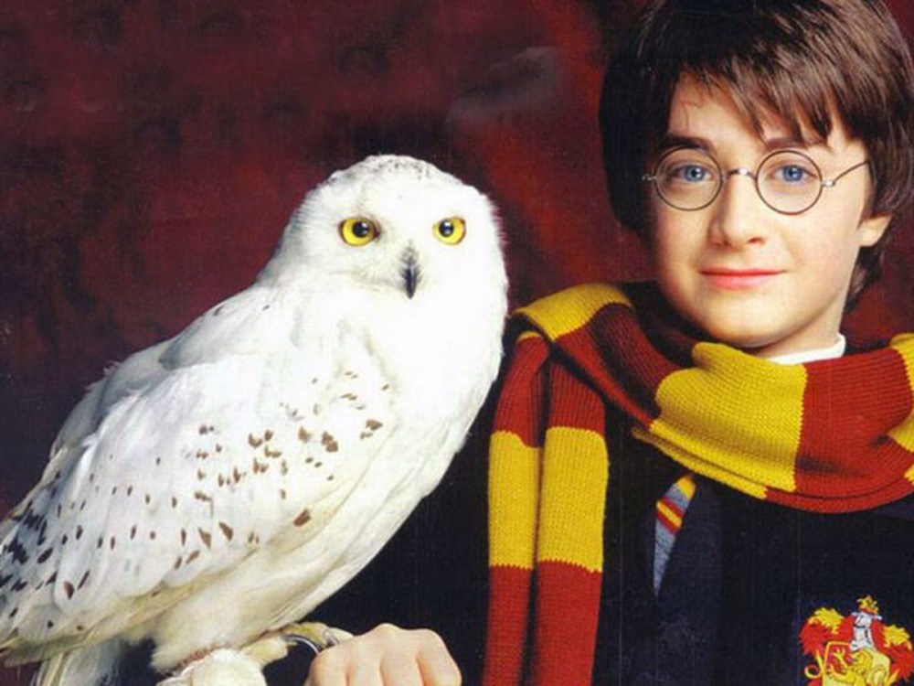 GB3GKN2FF5C4PCQP5OBVXBDPZM