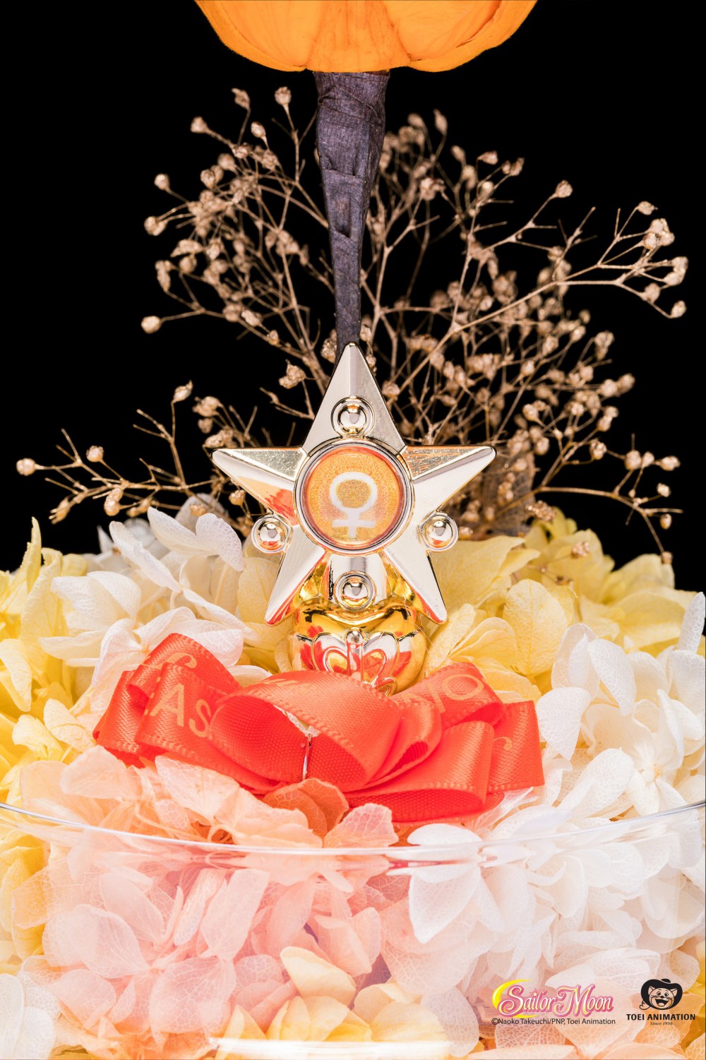 Photo_2_Moon_3_1.1_1480x