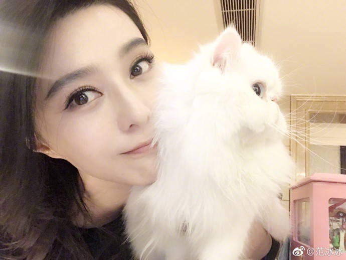 eb8fce65ly1fkb2cza349j216w0w84qp