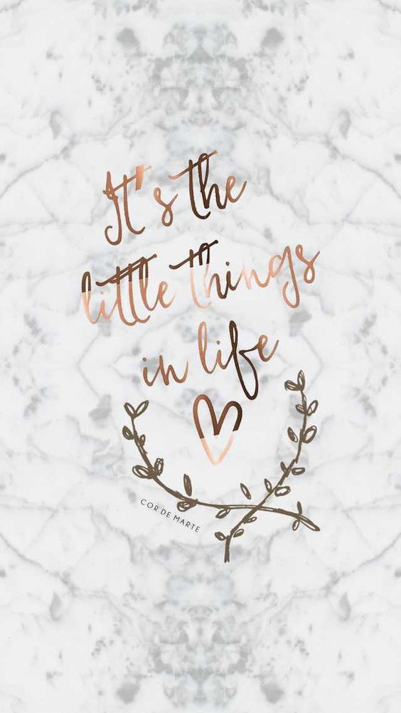 ee5f0e4bf7cb524a06a51dd730246848