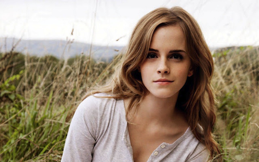 tmp423227017190703104