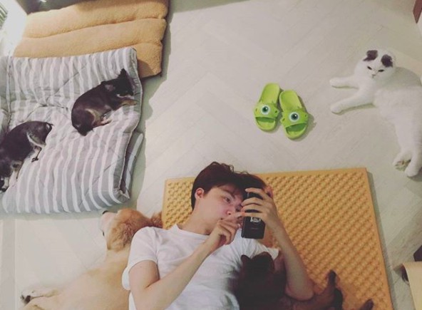 螢幕快照 2018-01-31 下午6.31.27