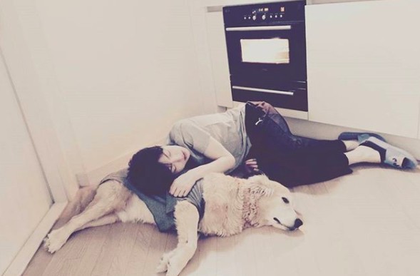 螢幕快照 2018-01-31 下午6.31.33