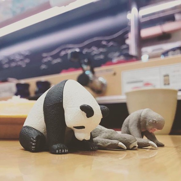 螢幕快照 2018-02-02 上午10.56.17