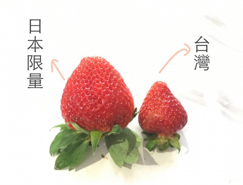 螢幕快照 2018-02-05 上午1.30.02