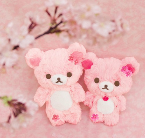 螢幕快照 2018-02-06 下午1.08.06