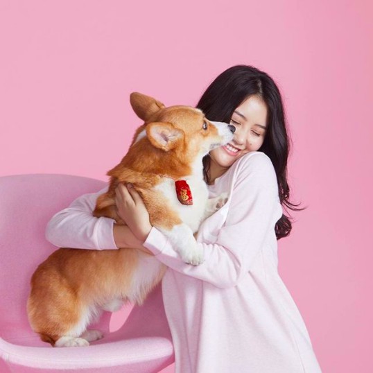 螢幕快照 2018-02-07 下午1.05.12