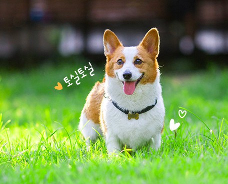 螢幕快照 2018-02-07 下午12.27.29