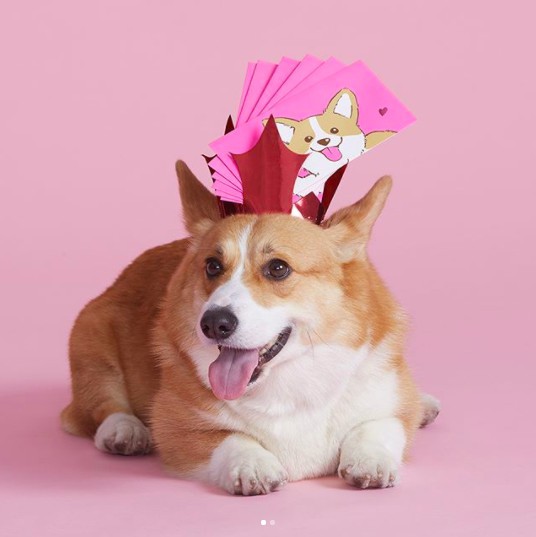 螢幕快照 2018-02-07 下午12.45.08