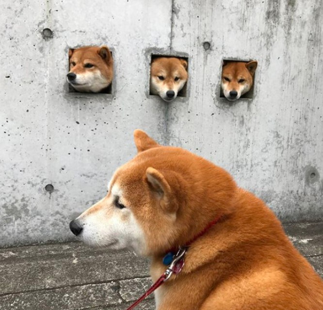 螢幕快照 2018-02-12 下午7.48.34