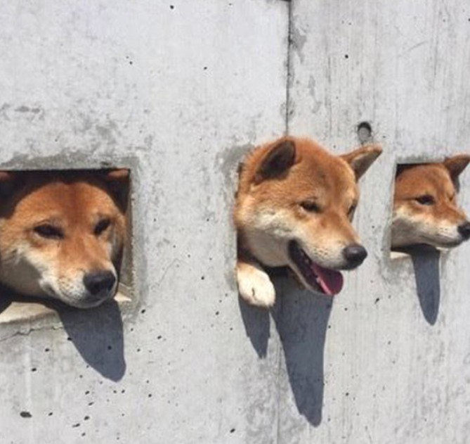 螢幕快照 2018-02-12 下午7.48.44