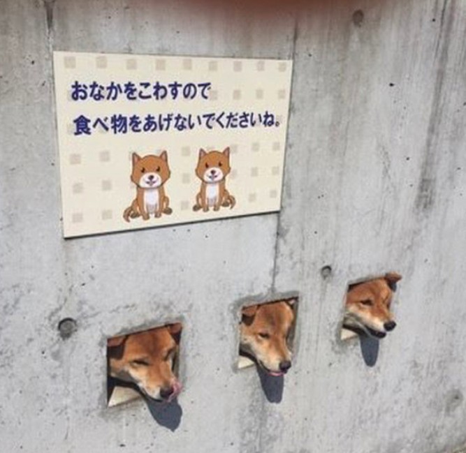 螢幕快照 2018-02-12 下午7.48.53