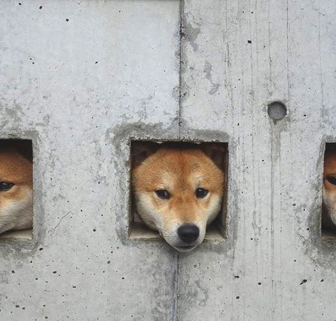 螢幕快照 2018-02-12 下午7.49.08