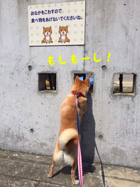 螢幕快照 2018-02-13 下午12.37.46