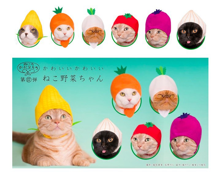 螢幕快照 2018-02-27 上午11.42.25