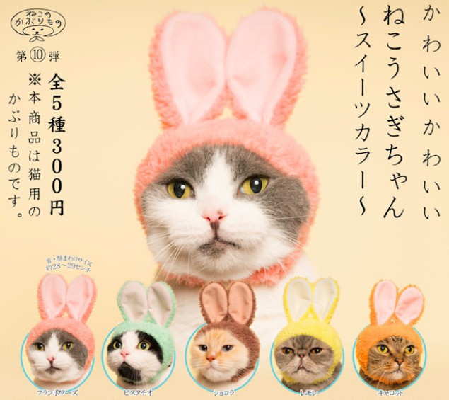 螢幕快照 2018-02-27 上午11.44.59