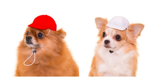 螢幕快照 2018-02-27 下午12.17.21