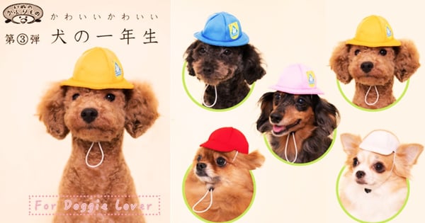 不只要燒貓奴，奇譚CLUB再推人氣扭蛋！「犬の一年生」超萌登場～