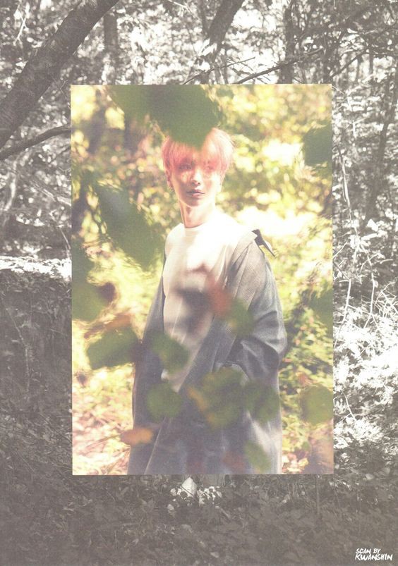 218d4e28b7fcc767f2e32e39e30045df