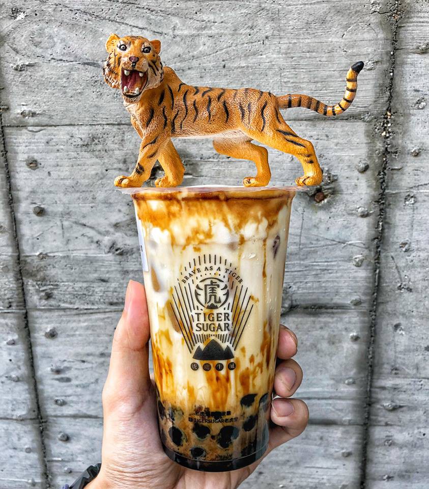 24909750_1251950528270370_1997075390210793048_n