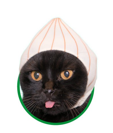 26290186348_930050546f