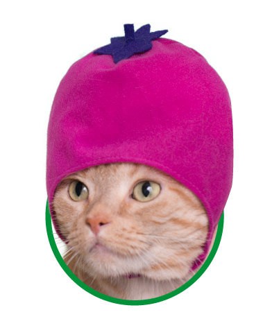 26290186498_495538cbc9