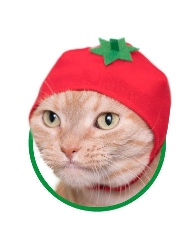 26290186538_492e554f3e