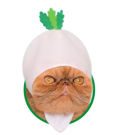 26290186688_2f2e5523cb