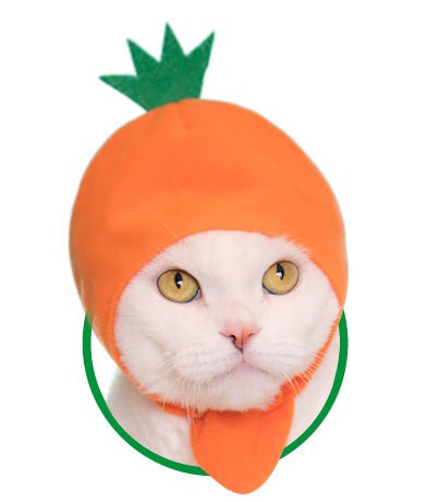 26290186858_3aafae98b9