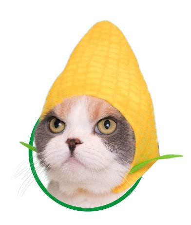 26290186978_6b5119e977