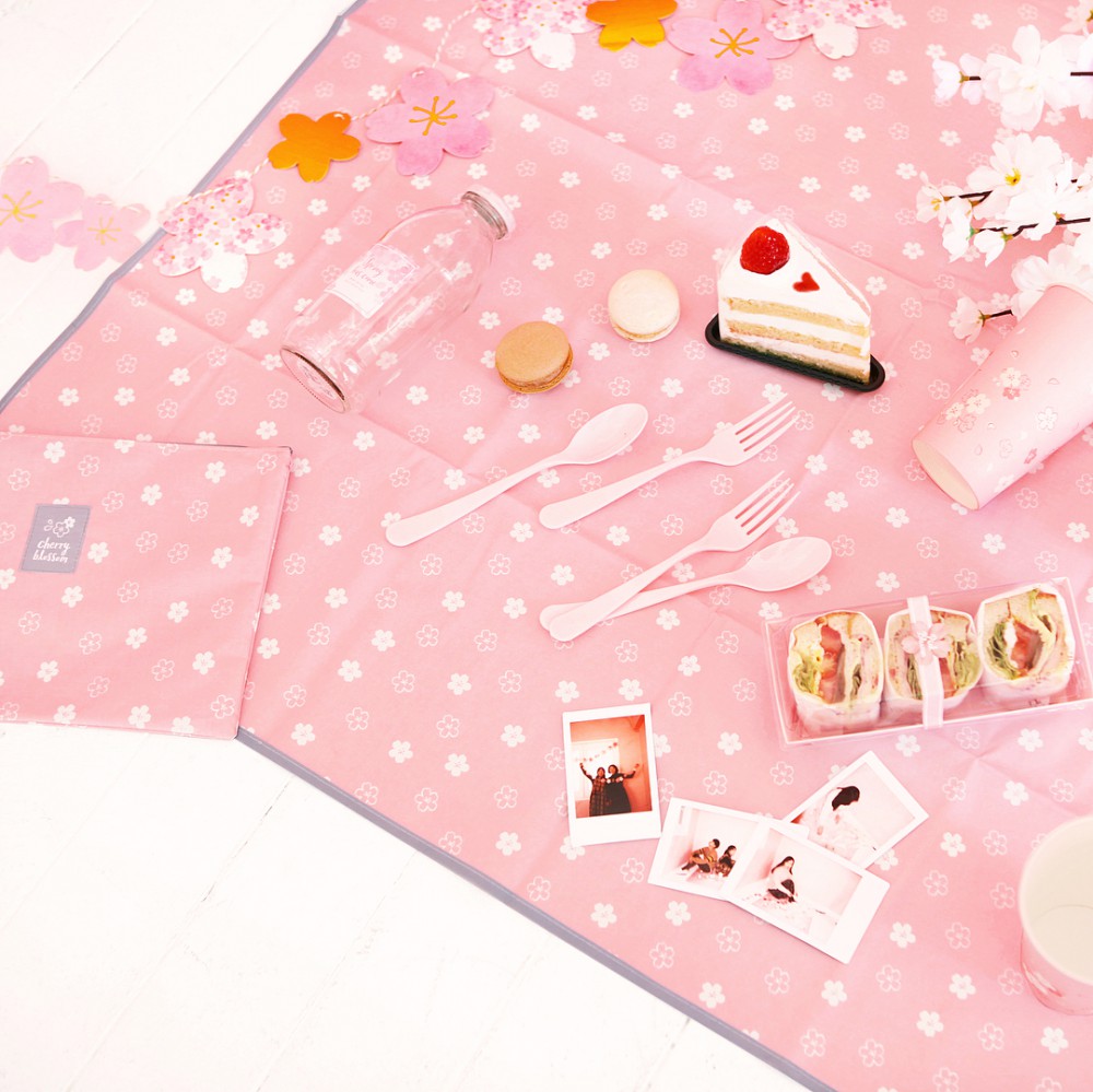 27893882_1794621314174191_7126498002843205632_n