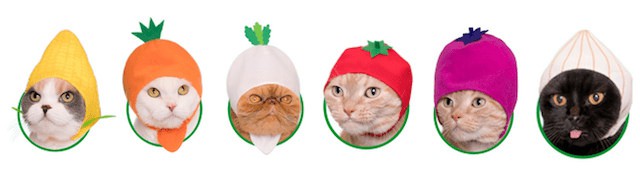 39452081824_5aa47d78e1_z