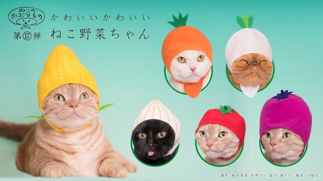 39452082064_f79be93721_z