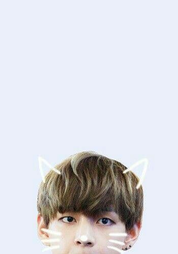 3a7156f0ac90d30c54a11115959d91a3