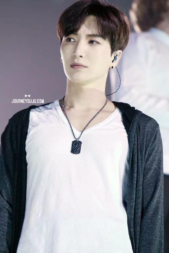 52a586ad4b885c94e3f6d14462b0991f