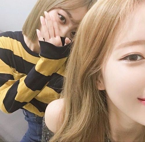 966cb32e07845ce41fa3405e85d09326