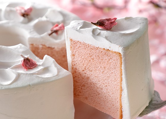 img-18sa01-member-03