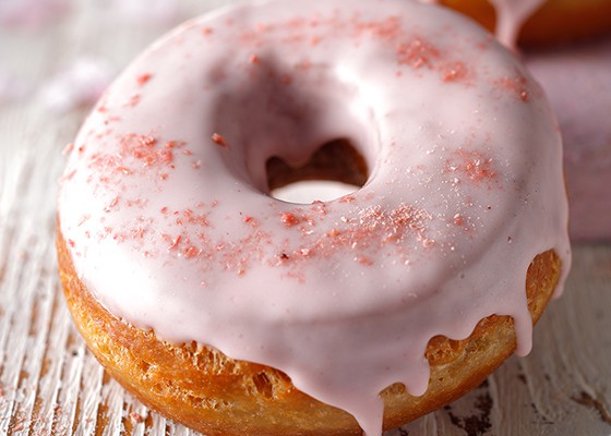 img-18sa01-member-04