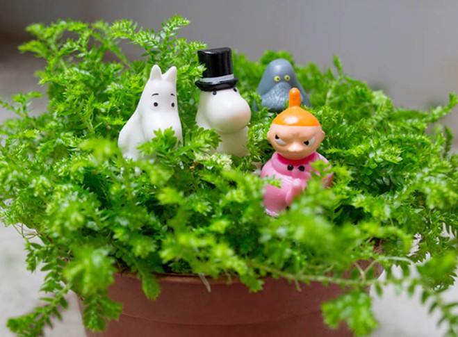 螢幕快照 2018-03-01 上午11.57.09