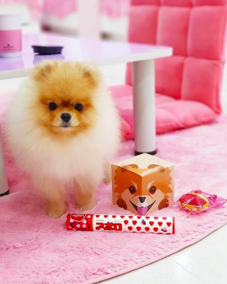 螢幕快照 2018-03-06 下午12.52.59