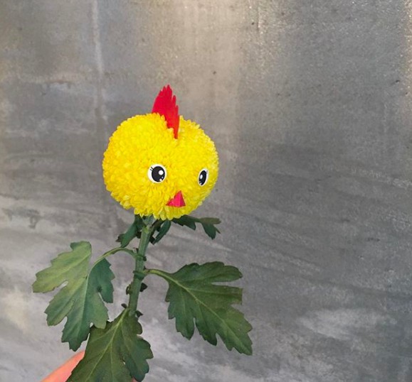 螢幕快照 2018-03-13 下午4.59.54