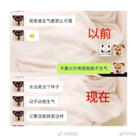 006WdOhGly1fpedumaweqj30nd0ndqf0